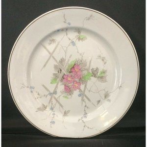 😀 Antique Victorian Aesthetic Ironstone Plate